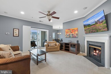 11310 Westbrook Mill Ln unit 201, Fairfax, VA 22030 - photo 6