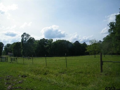 14829 County Road 2215, Tyler, TX 75707 - photo 4