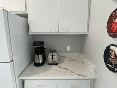 433 Wisconsin Ave unit 3, Oak Park, IL 60302 - photo 5