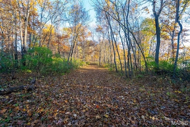 1847 Jaketown Rd, Lagrange Township, IL 62019 - photo 7