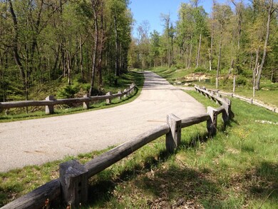 1680 River Bend Blvd, Bertrand Township, MI 49120 - photo 5