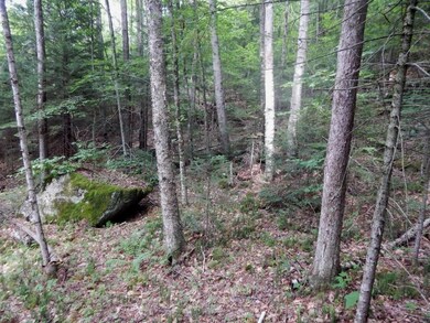 18-8 Currier Hill, Wentworth, NH 03282 - photo 4