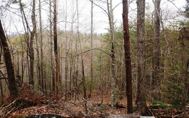 L288 Evening Shadows Rd, Morganton, GA 30560 - photo 4