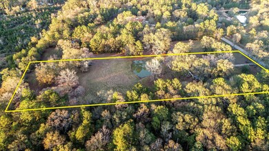 6676 Daw Collins Rd, Cleveland, TX 77328 - photo 5