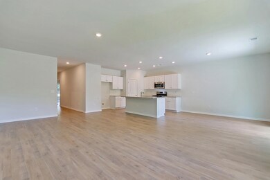 Family Room into Kitchen