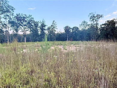 00 N Hwy 11, Salem, SC 29676 - photo 2