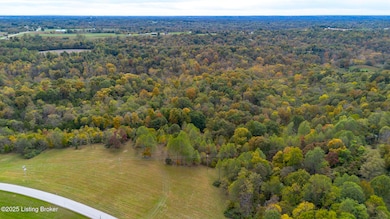 Lot 8 Bray Ridge Rd, Bedford, KY 40006 - photo 7