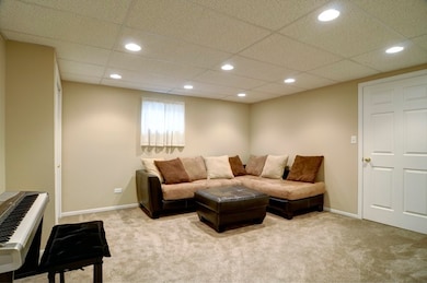 3704 De Foe Ct, Naperville, IL 60564 - photo 4