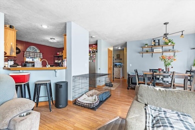 1114 E Station Rd, Sheridan, MI 48884 - photo 6