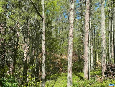 0 Milton Dr unit 615250, Milton, VA 22947 - photo 4