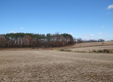 70 acres Hwy 78, Merrimac, WI 53561 - photo 6
