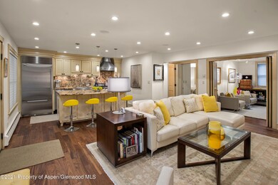 1020 E Durant Ave unit 103, Aspen, CO 81611 - photo 2