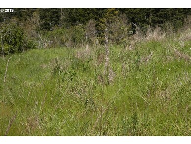 29685 Bear Mountain Rd unit 700, Gold Beach, OR 97444 - photo 5