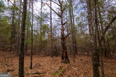 0 Salem Rd unit 10453687, Pine Mountain, GA 31822 - photo 4