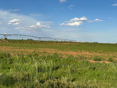 0 Fm 168 unit 202309148, Ropesville, TX 79358 - photo 5