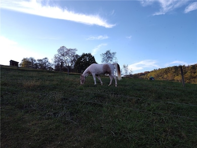 327/329 Sugar Run Rd, Waynsbrg/Frankln Township, PA 15370 - photo 3