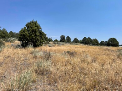 0 Clearwater Dr unit Block 78 Lot 30, Sprague River, OR 97639 - photo 7