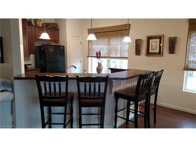 1013 Aqua Marine Blvd unit 51, Avon Lake, OH 44012 - photo 2