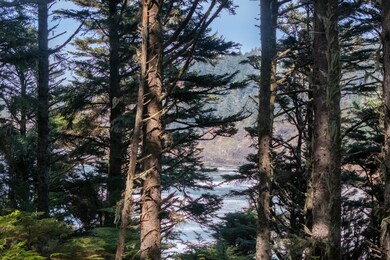 DJI_20240331141347_0076_D