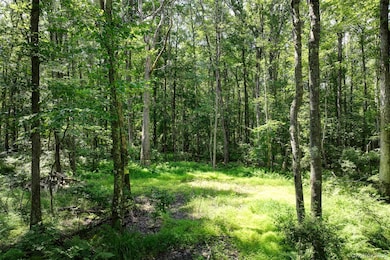 Lot 69 Cushetunk Dr, Cochecton, NY 12726 - photo 6