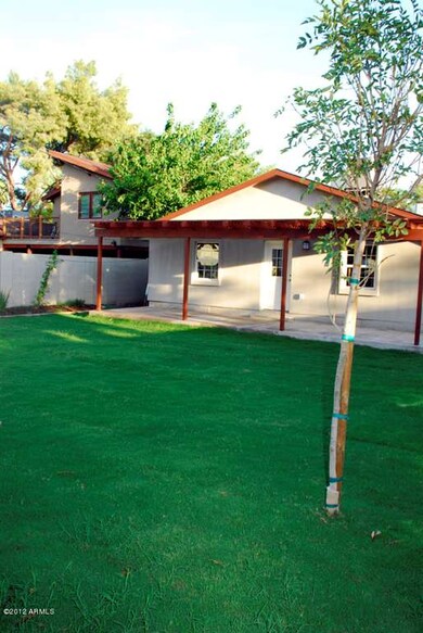 Oversized Backyard