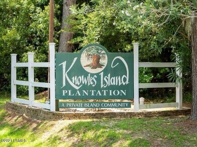 Knowles Island - cropped from Original 2