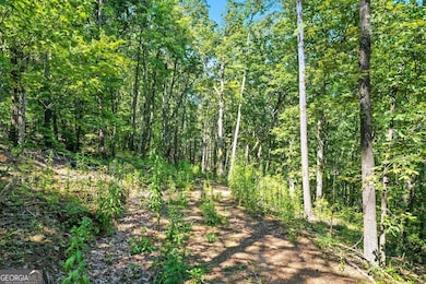 0 Debord Dr unit 10594515, Waleska, GA 30183 - photo 7