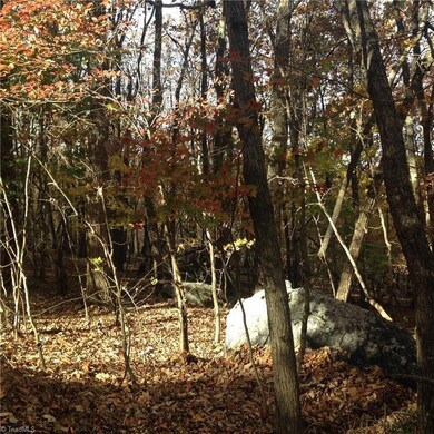 0 Scott Mountain Road Extension, Asheboro, NC 27205 - photo 2