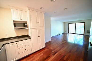 15 Francis St unit 38, Brookline, MA 02446 - photo 3