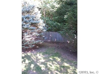 Backyard. Beautiful trees through out the .70 acre
