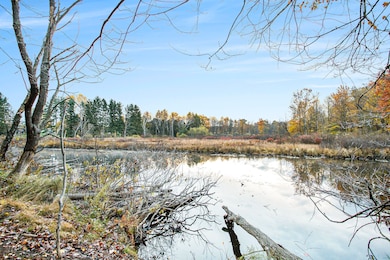 15800 N Dr N, Marshall, MI 49068 - photo 5