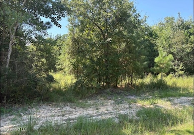 0 Winding Way Dr, Pass Christian, MS 39571 - photo 3