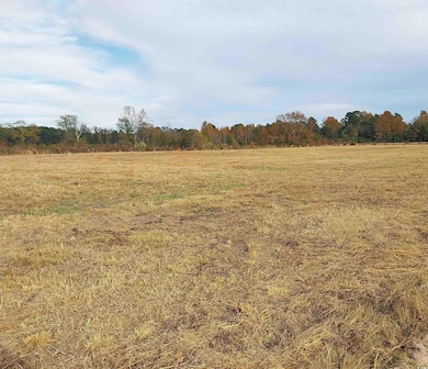 lot 1 Davis Ln, Mullins, SC 29574 - photo 3