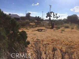 0 Indio Ave unit OC17204566, Yucca Valley, CA 92284 - photo 4