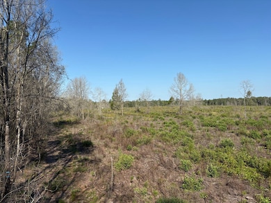 25.29 Acres Alabama 87, Samson, AL 36477 - photo 5