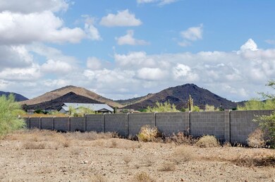 IMG_7869