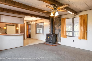 226 Juniper Springs Rd, Nogal, NM 88341 - photo 6