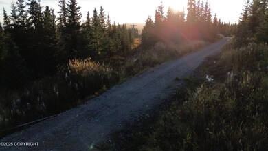 54533 Winchester Ave, Fritz Creek, AK 99603 - photo 4