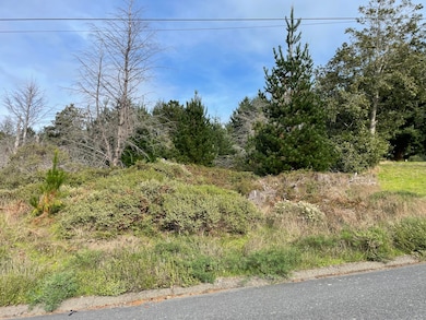 35 Debbie Ln, Whitethorn, CA 95589 - photo 3