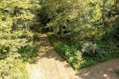 000 Shiloh Rd, Cobden, IL 62920 - photo 7