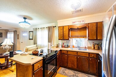 12099 Georgia 93, Baconton, GA 31716 - photo 6