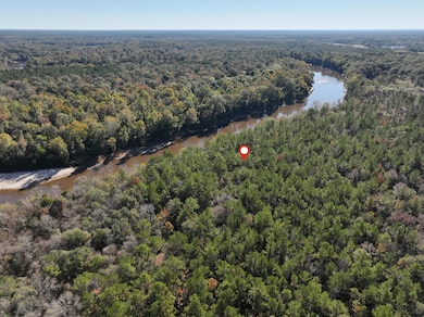 Old_Hwy_24_W_Lot_29-5