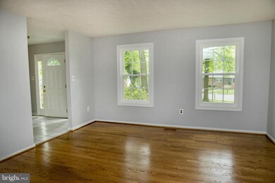 6636 Haycock Rd, Falls Church, VA 22043 - photo 3