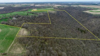 XXXX County 26, Money Creek Township, MN 55943 - photo 3