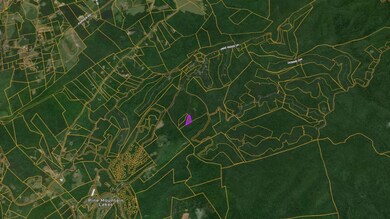 0 Buttonwood Rd unit 25554474, Connelly Springs, NC 28612 - photo 3