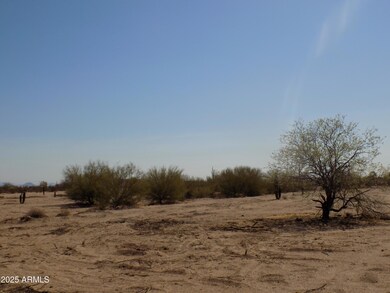 1.25 E Tbd-Cactus Forest & N Reed Rd unit 3, Florence, AZ 85132 - photo 6