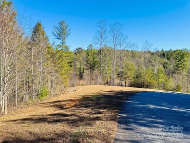 1.3 acres, Lot 2A, 1 Round Mountain Pkwy unit 2A, Lenoir, NC 28645 - photo 3