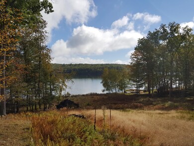 196 Fawn Lake Dr, Lackawaxen Township, PA 18428 - photo 6