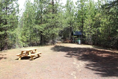 Shed & Open Area
