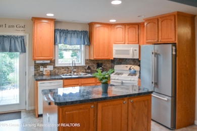 51 Shirlee Ave, Ionia, MI 48846 - photo 4